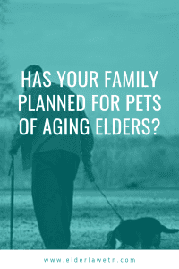 Planning for Pets of Aging Elders